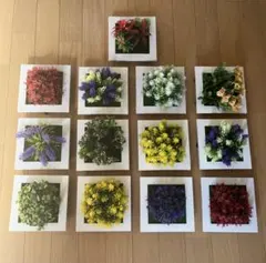 ウォールグリーン 13個セット – 壁掛けフェイクグリーン（ミニ人工観葉植物）