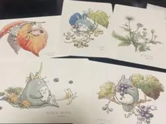となりのトトロ　オリジナルポストカード