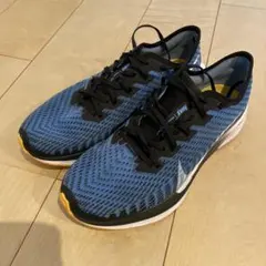 走行少なめ 27.5 人気　廃盤　NIKE ペガサスターボ2 ナイキペガサスターボ2寿命】1000kmでズームXにごっそり穴