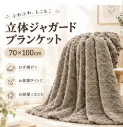 立体ジャガードブランケット 70×100cm ブラウン ひざ掛け 毛布