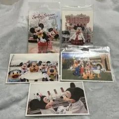 ディズニー　ポストカード　10枚　実写　ミッキー　ドナルド　ミニー
