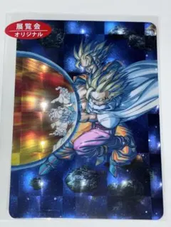 ドラゴンボール 孫悟飯 孫悟空 ホロカード 展覧会オリジナル