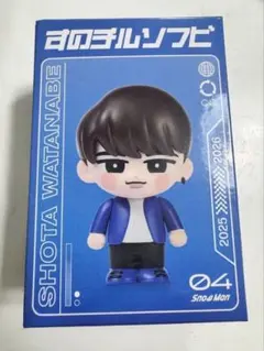 Snow Man Dome Tour すのチルソフビ 渡辺翔太