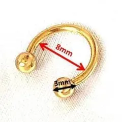 野*猫様 サーキュラーバーベルピアス　ボディーピアス　新品未使用　内径8mm　金