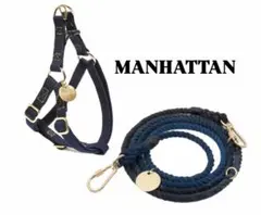 Item thumbnail for item c628aebb-f2d1-44c7-976e-1e3a40f28816