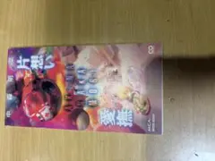 中森明菜 片想い/愛撫