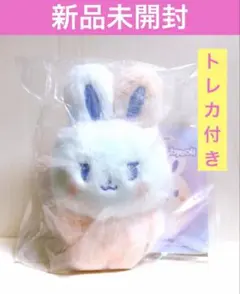 RIIZE EUNSEOK 송용돌이 10cmぬいぐるみ 公式 - メルカリ