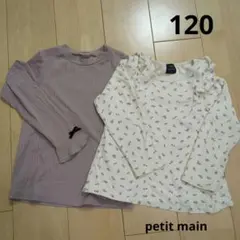 長袖 カットソー 120 petit main 赤ちゃん本舗