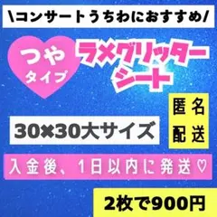 Fui様 リクエスト 2点 まとめ商品