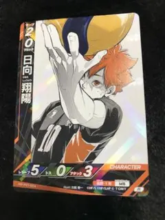 ハイキュー バボカ