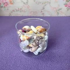 貝殻　寄せ集め