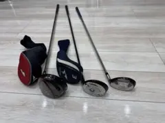 Item thumbnail for item 1fb47adc-f3ee-41fb-94a3-9325cdede348