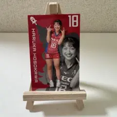 女子バレー　細川 春香　トレーディングカード necレッドロケッツ