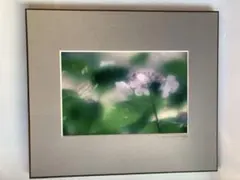 Item thumbnail for item 958160cb-47ea-4ead-8c28-f9e331db11dd