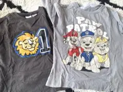 ZARA パウパトロール Tシャツ 110cm 2枚セット