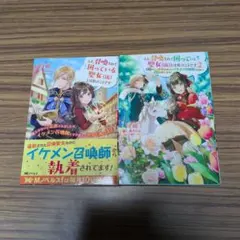 ええ、召喚されて困っている聖女(仮)とは私のことです～魔力がないと追放されまし…