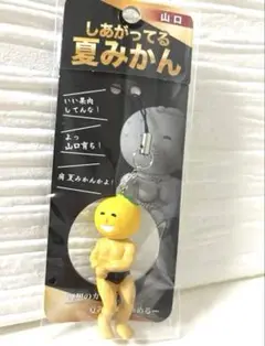 しあがってる夏みかん　山口限定