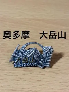 Item thumbnail for item 65aee63f-3273-4caf-918a-0b325b1533b2