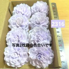 ソラフラワー　2316