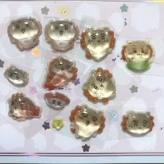 치이카와 시사 ボンボンドロップシール バラ売り