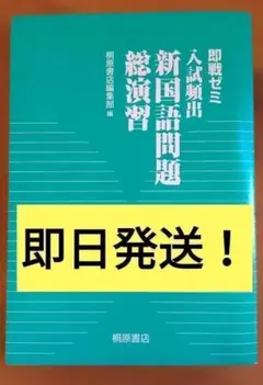 入試頻出 新国語問題総演習 最安値 匿名配送・送料無料