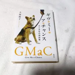 ギヴ・ミー・ア・チャンス 犬と少年の再出発 小学生　本