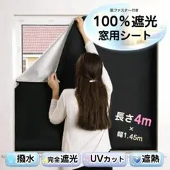 Item thumbnail for item 7cea1748-3c0e-448a-a0ea-277229732156