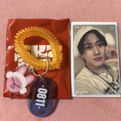 ランダムサウナキーリング　特典カードセット　トエッキ　チャンビン