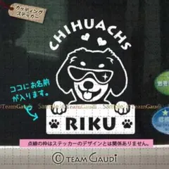 チワックス No.6　名前入 カッティング　ステッカー ミッス犬　シール