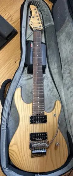 ESP 7弦ギター オーダーメイドのサムネイル