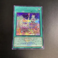 遊戯王:ヤミーズメント★アクロッキー ロゴシク