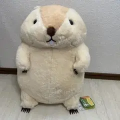 ちゃんみー様専用】ラスカル 特大ぬいぐるみ セキグチ - メルカリ
