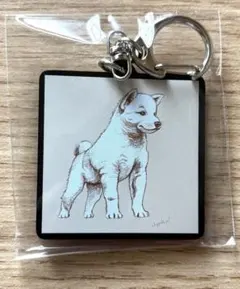 柴犬イラストのキーホルダー