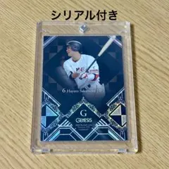 入手困難】 スポーツ新聞完品 日刊スポーツ ミスターチルドレン 桜井