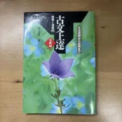 Item thumbnail for item 827554c5-dbff-4e11-819f-e82d6d96bf8f