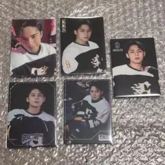 SEVENTEEN セブチ HOME 2025 ミンギュ セルカ トレカ