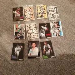 Item thumbnail for item 7ae8cd43-1a41-4bb0-8091-cdbc3b9493d9