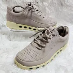 Item thumbnail for item 2125d4a6-8d9d-4bc7-b4d8-98b9b7da1b49