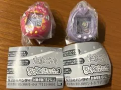 たまごっち シャカシャカチャームコレクション3 パープル ピンク まめっち