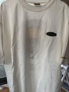 ddp ホワイト Tシャツ 1995年設立