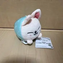 SKZOO くっつきぬいぐるみ ～GiGO限定～ FoxI.Ny アイエン - メルカリ