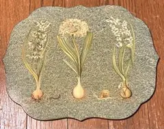 イギリスCAROLYN SHEFFIELD ボタニカル プレースマットビンテージ