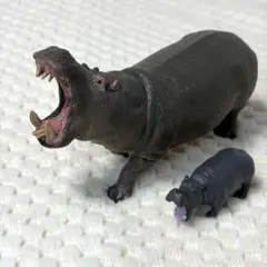 CollectA コレクタ カバ フィギュア 動物模型 ミニチュアカバ セット