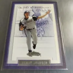 2026年最新】ランディジョンソンの人気アイテム - メルカリ