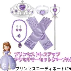 プリンセスドレスアップアクセサリーセット(パープル)