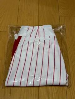 ポルテユニフォーム　ズボン　パンツ　サイズ145