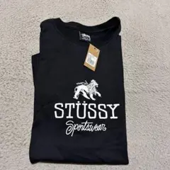 24aw STUSSY SPORTSWEAR tee tシャツ L