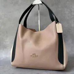 COACH Hadley Hobo Colorblockのサムネイル