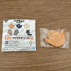 ハイキュー!!最強の挑戦者 一番くじ アクリルチャーム/日向翔陽