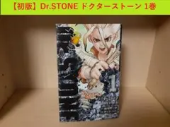 First Edition 初版 Dr.STONE1巻 稲垣理一郎 Boichi - メルカリ
